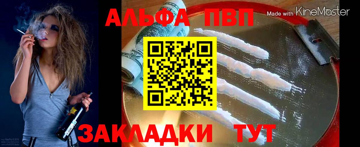 Alfa_PVP СК Выборг