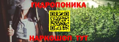 гидропоника Бердск