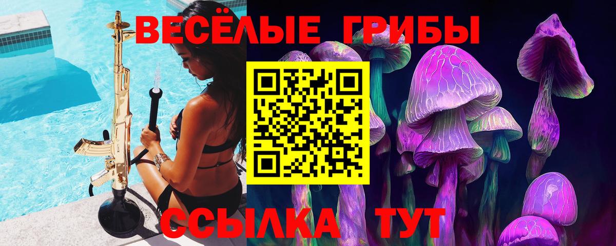 Выборг  Галлюциногенные грибы Psilocybe  даркнет сайт  Вход с VPN 